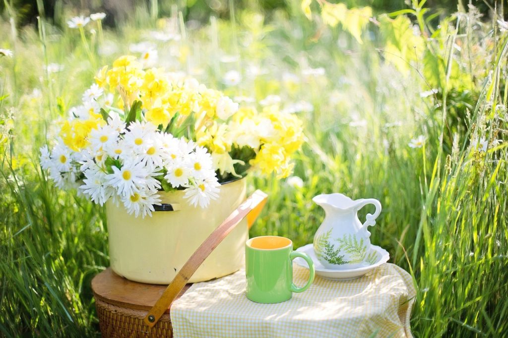 Is Green Tea A Good Source Of Antioxidants?